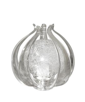 cvl physalis