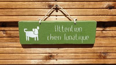 PANNEAU ATTENTION CHIEN LUNATIQUE
