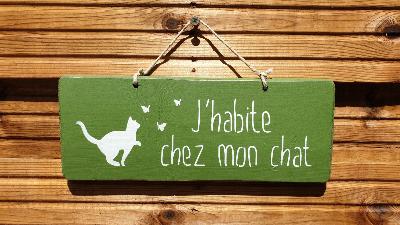 PANNEAU J'HABITE CHEZ MON CHAT
