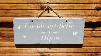 PANNEAU LA VIE EST BELLE A DIJON