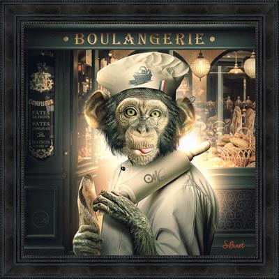 TOILE SINGE BOULANGER 