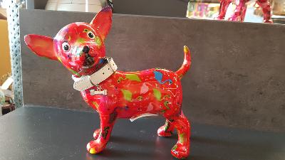 POMME PIDOU CHIHUAHUA PIPA ROUGE PM MOTIF OISEAUX