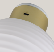 APPLIQUE RECHARGEABLE EARL BLANC