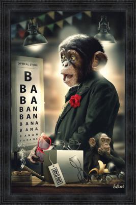 TOILE SINGE OPTICIEN