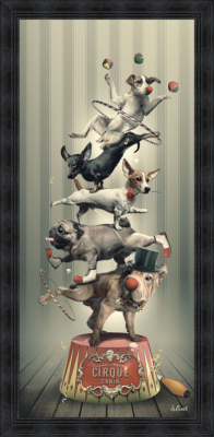 TOILE CIRQUE CANIN 